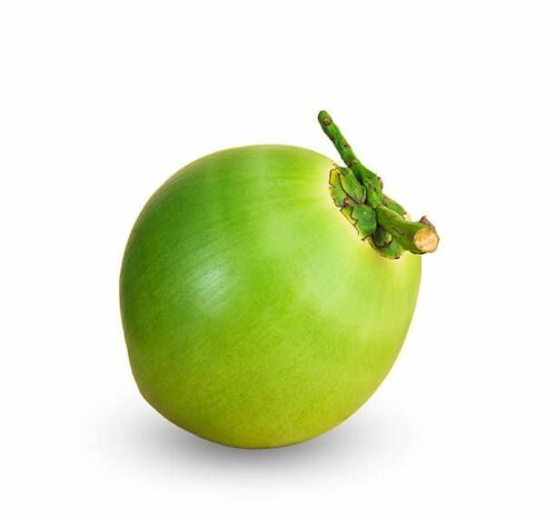 African Shop Near Me - Jelly Nut 'Green Coconut' Large Organic Fresh