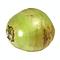 Jelly nut 'green coconut' large organic fresh